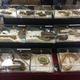 A vendor’s display of available exotic snakes for purchase at an exotic pet expo